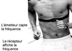 cardio2.jpg