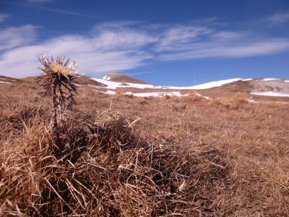 13 - Serre de Montue vers le Pas de l Infernet 1698m.JPG