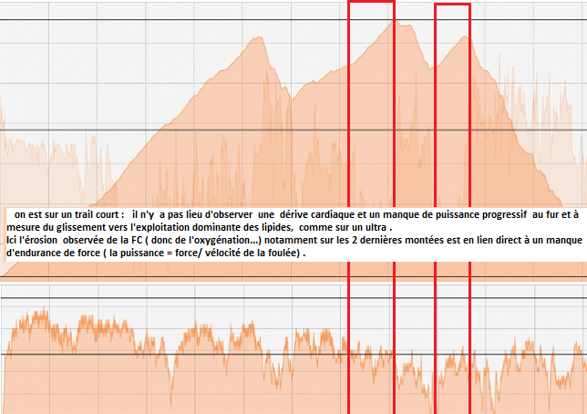'endurance de force.png
