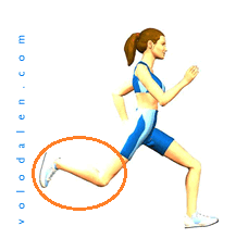 levée du pied.png