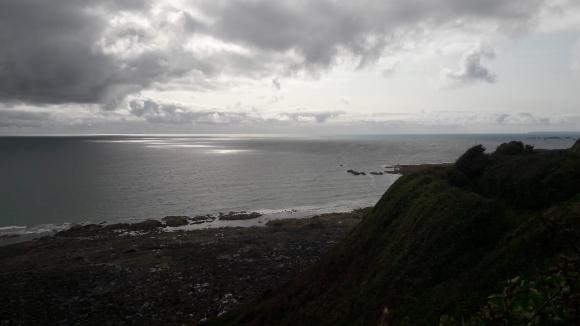 20180827_171239.jpg