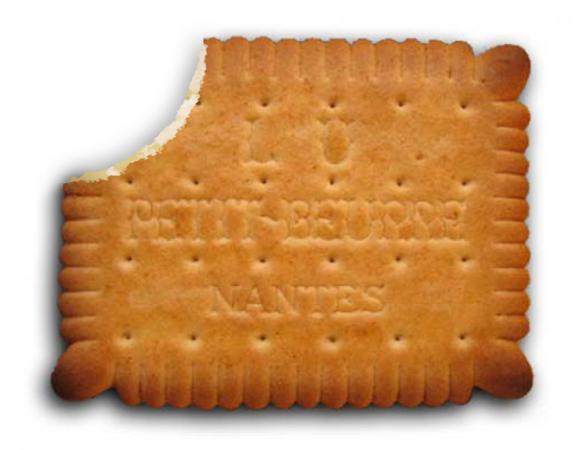 ptilu ecorné.jpg