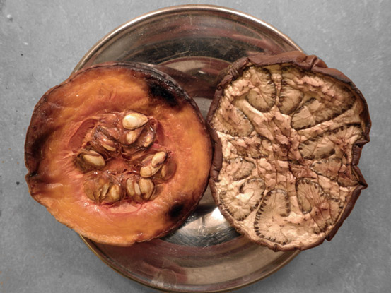 Auber-nut.jpg