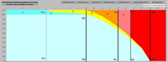 Fibres110% 18kmh v11-8.jpg