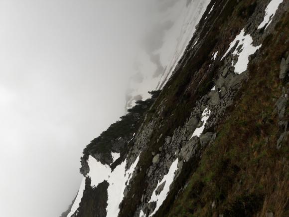 20190610_154655.jpg