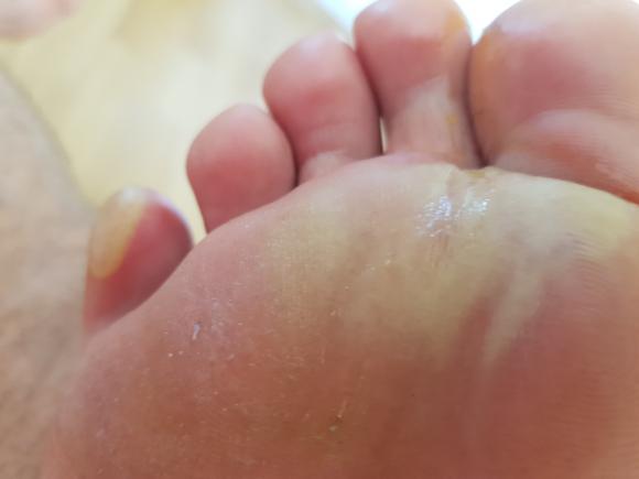20190623_152201.jpg