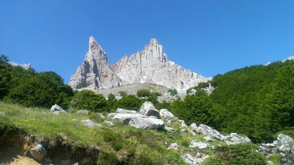 IMAG0274.jpg