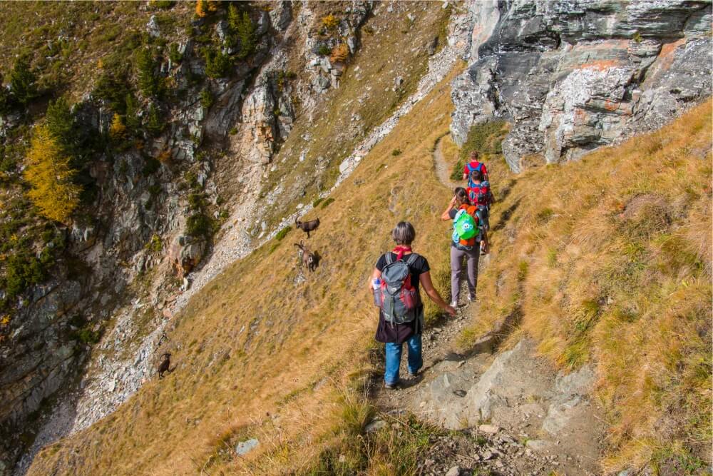 hoehenweg_graechen_saas_fee_1.jpg