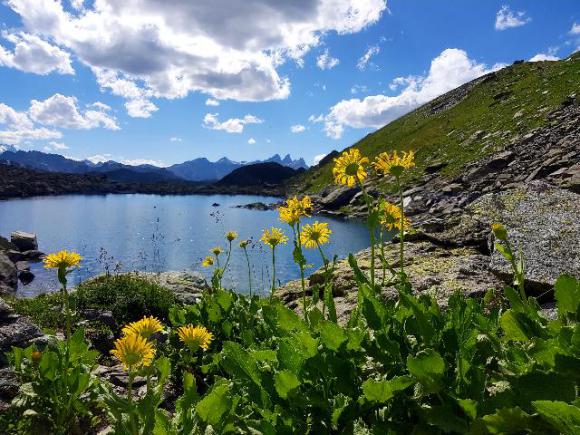 Lac de Roche Noire.jpg