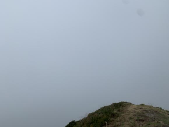 845A916D-5B00-477B-91C8-3FBE71506FE0.jpeg
