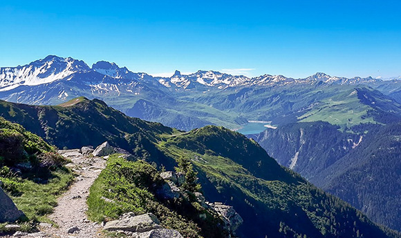 20190629_101132-3.jpg