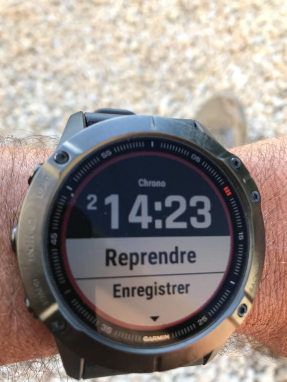 fenix.jpg