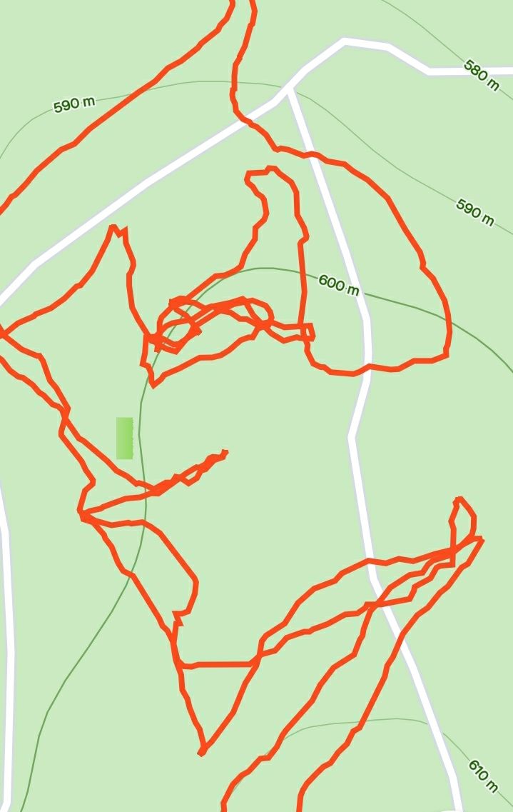 Screenshot_20201120-082608_Strava.jpg