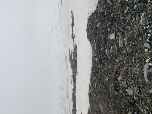 78C5B907-F091-4BD3-A55E-001A9D317810.jpeg