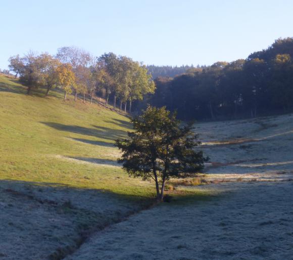 FT05 - Copie.JPG
