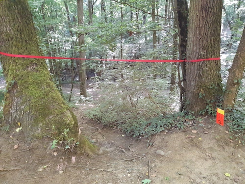 20220611_182451.jpg