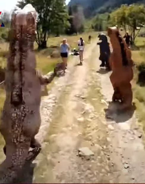 dinos1.JPG