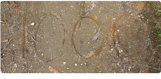 image35.jpg