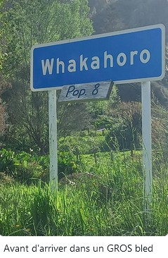 image45.jpg