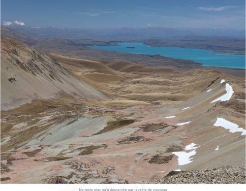 tekapo-photo24.jpg