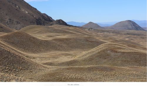 tekapo-photo28.jpg