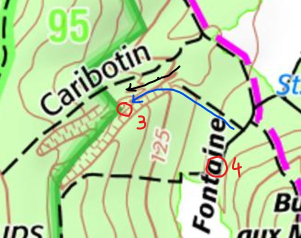 caribotin.jpg