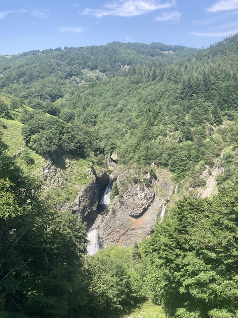 IMG_2263.jpeg