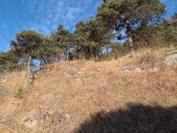 provences2.jpg