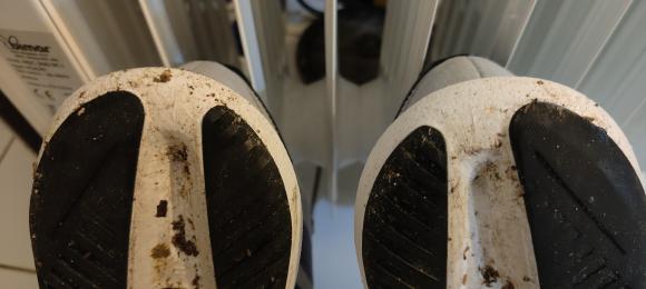 14-04-2025-Adidas S2 10km .jpg