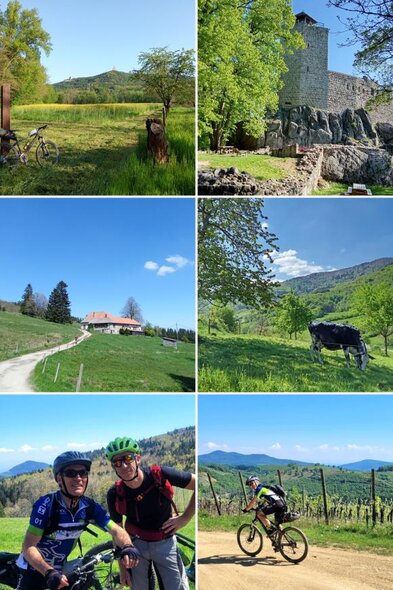20250430_094346-COLLAGE.jpg