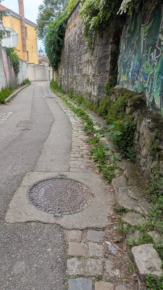 PXL_20250511_103314245.jpg