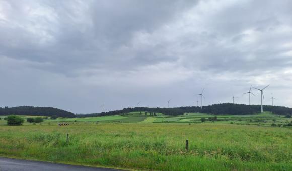IMG-20250616-WA0010.jpg