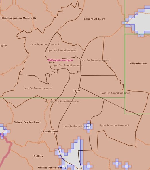 chasse_aux_carres_Lyon.jpg