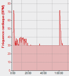 soir_ww.png