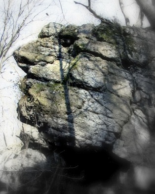 la colline à des yeux.jpg