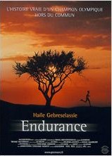 Endurance.jpg