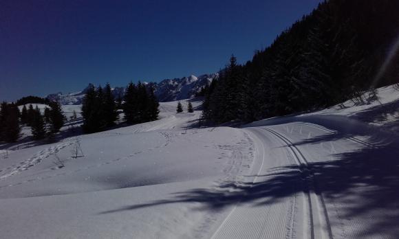 20160326_095144.jpg