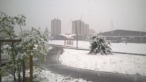 Cham ce matin.jpg