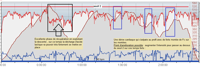 fartlek_1.png